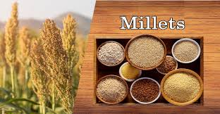 Rediscovering Ancient Grains: The Surprising Benefits and Importance of Millets